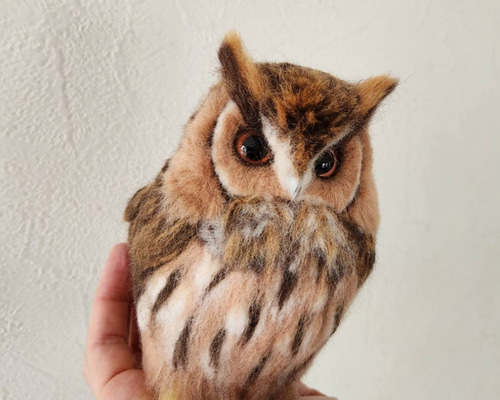 55b02d4343694699108fcc91e86e6c