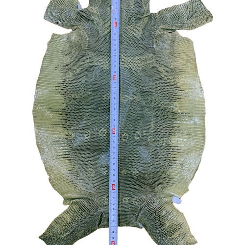 V-TIP手作りリザード(トカゲ)Ｖ−tip V-TIP手作りリザード(トカゲ)V−tip トカゲの種類（彩色済み彫刻