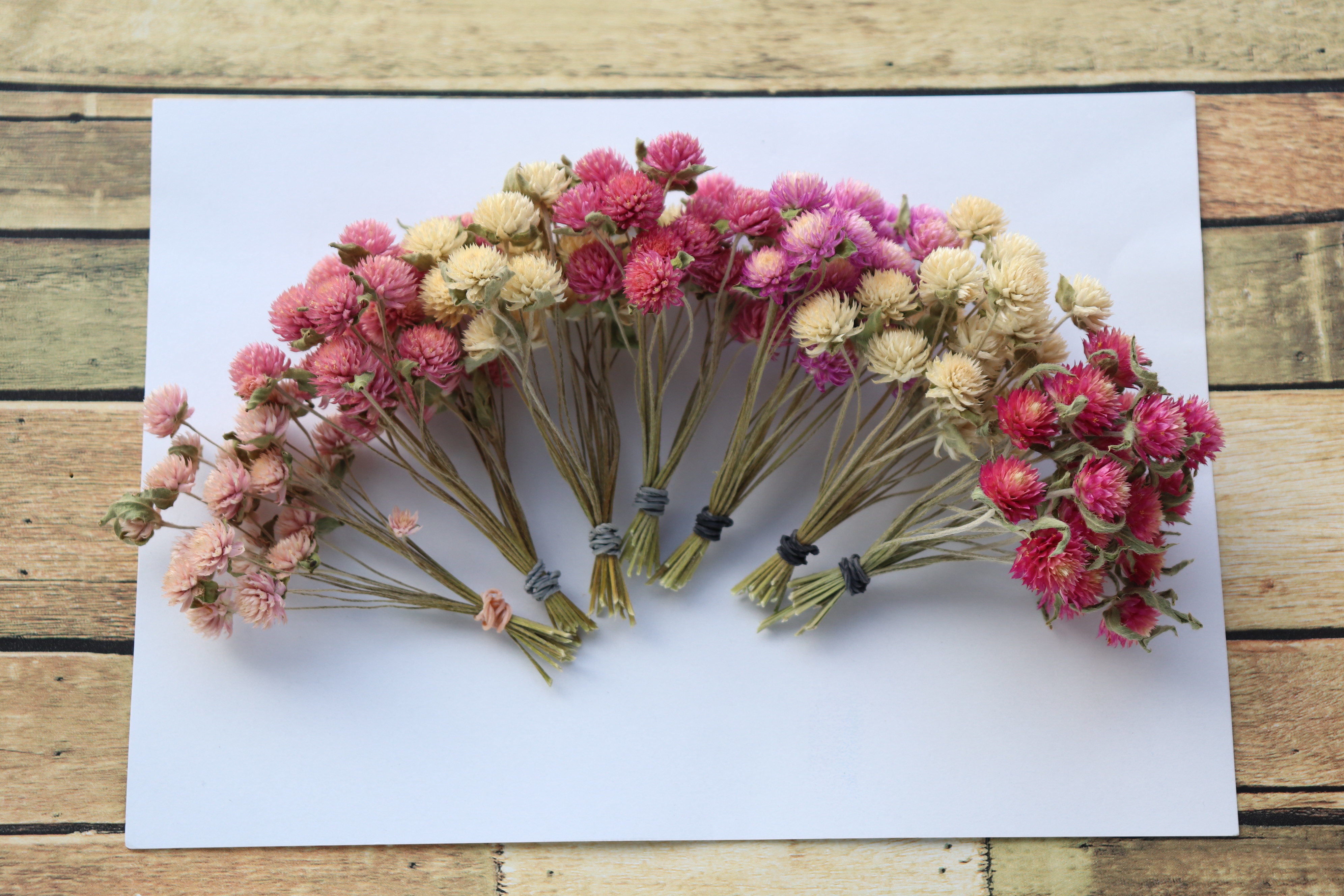 チガヤとカワラハハコのベビーピンク色フライングリース　ドライフラワー　千日紅 チガヤとカワラハハコのベビーピンク色フライングリース ドライ