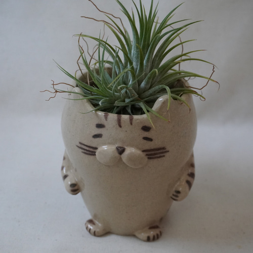 かとうゆみ　ねこ　マフラー　レア　陶器　植木鉢　新品　置物　花器　新品 猫花入れ大または植木鉢 ha458 | kusafune's STORE