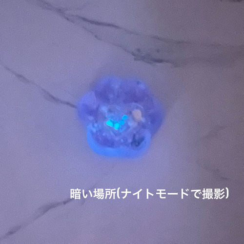 シェイカー 肉球キーホルダー レジン 天然石 名入れ シンプル 蝶