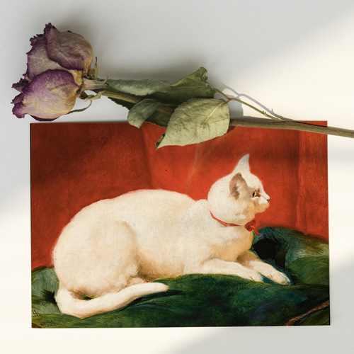白猫の絵画インテリアポスター☆油絵ネコアニマル動物可愛いリラックス