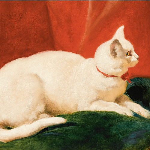 白猫の絵画インテリアポスター☆油絵ネコアニマル動物可愛い