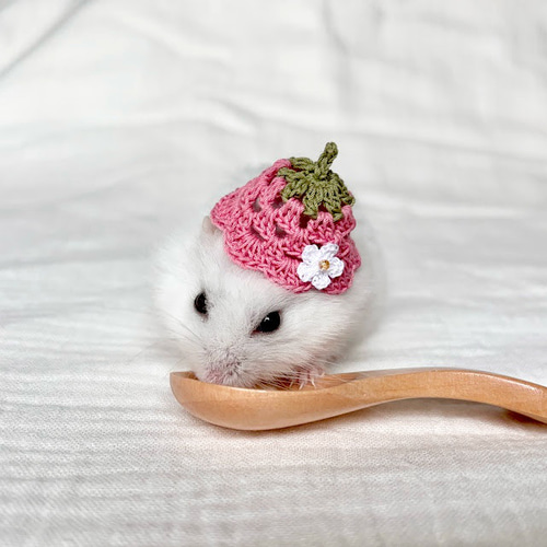 いちごの帽子 バケットハット風 ハムスター・小動物・ぬいぐるみ