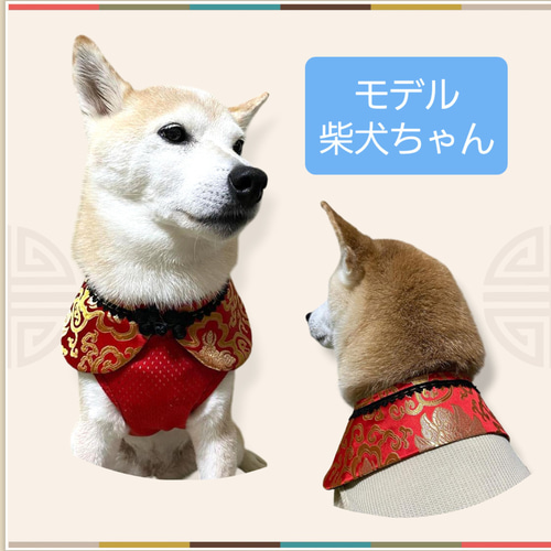 犬服ハンドメイド確認用