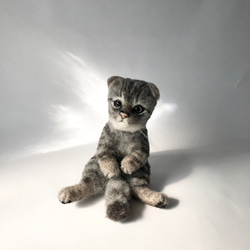羊毛フェルト　猫　キジシロネコちゃんフレーム キジ白のフレーム猫 羊毛フェルト 猫 リアル ぬいぐるみ 愛猫