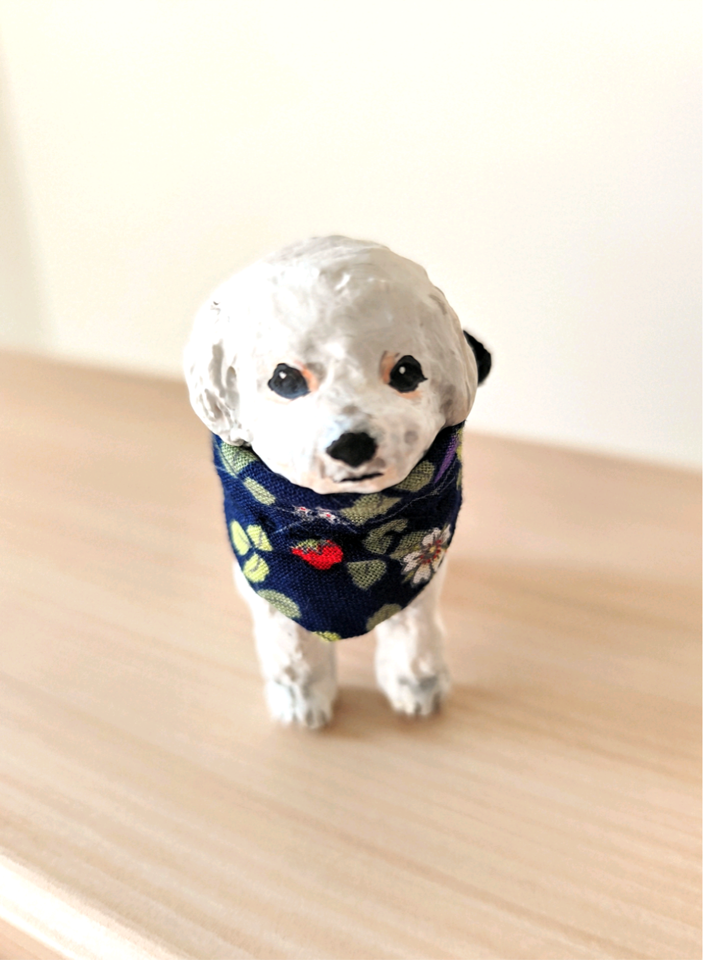 お散歩マルチーズちゃん