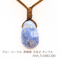 c8568cc84439792a5c26a2959b3e1c