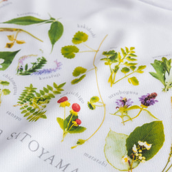 ［着る里山］野草Tシャツ〜初夏ver.〜（ホワイト） 8枚目の画像