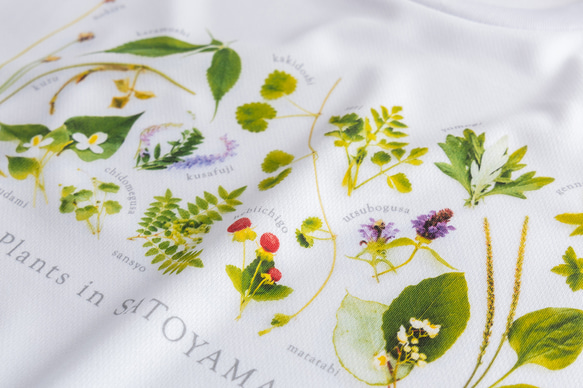 ［着る里山］野草Tシャツ〜初夏ver.〜（ホワイト） 8枚目の画像
