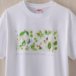 ［着る里山］野草Tシャツ〜初夏ver.〜（ホワイト） 2枚目の画像