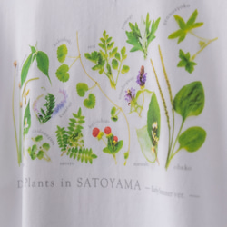 ［着る里山］野草Tシャツ〜初夏ver.〜（ホワイト） 3枚目の画像