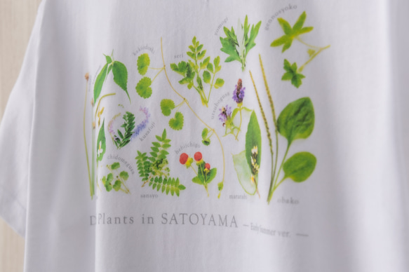［着る里山］野草Tシャツ〜初夏ver.〜（ホワイト） 3枚目の画像