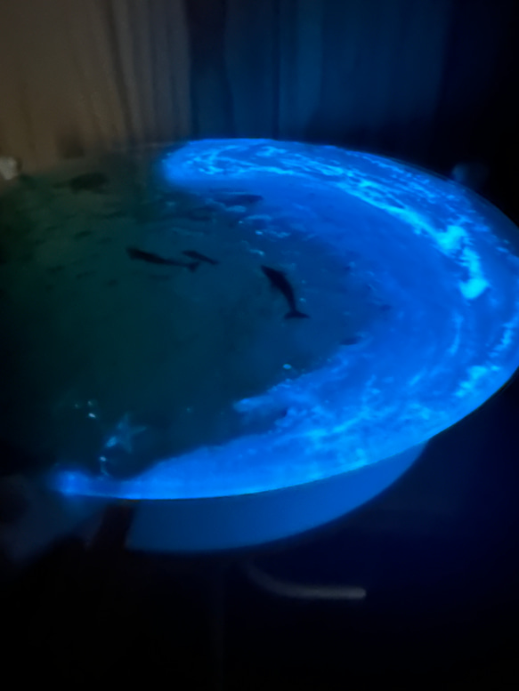 現物販売　即納　 夜光虫　エメラルドグリーン　光ビーチ　ペイズリービーチ　水紋の影　イルカと亀 僅かなシミやくすみなど作品によってはございます