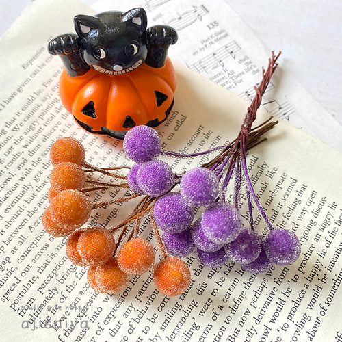 高い信頼 厚い信頼 ハロウィン仕様 シュガーベリーピック 【 ハロウィン 】 その他 その他
