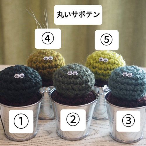 猫の髭山 あみぐるみ サボテンモンスター ブリキのバケツ その他