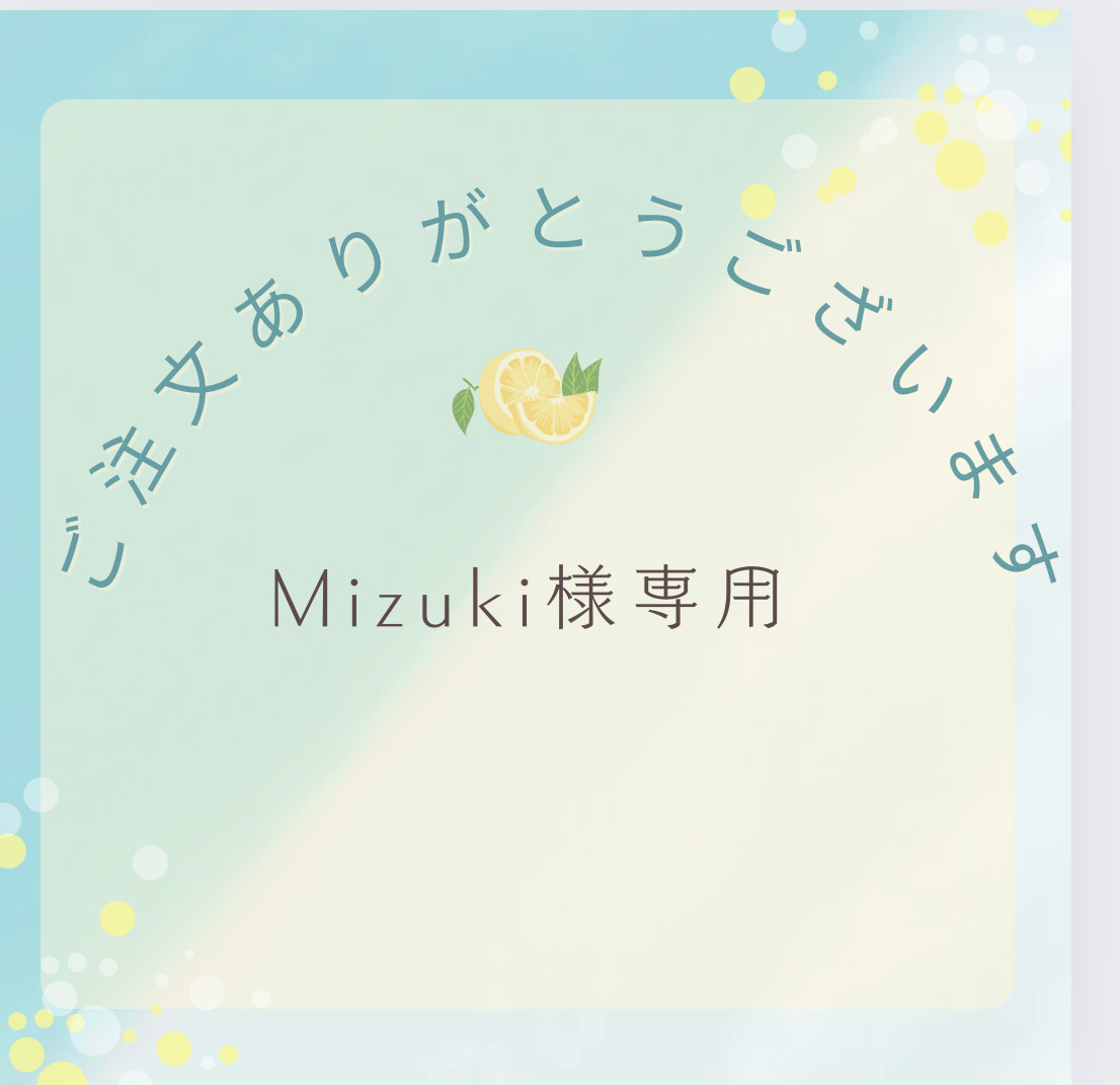 mizuki様　オーダーページ Mizuki様専用オーダーページ