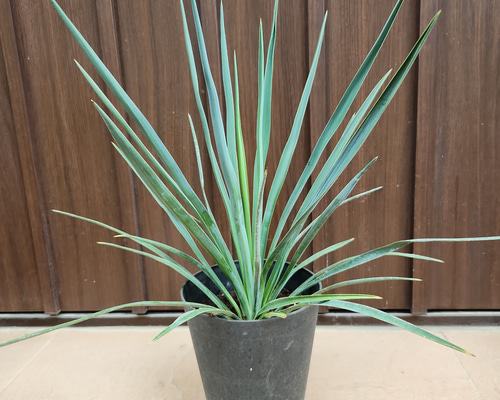 3511f7d14e1a8f284e4c58674bd7be