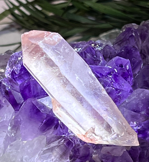 古代の叡智˚✧₊⁎ ピンク レムリアンシードクリスタル 原石 水晶