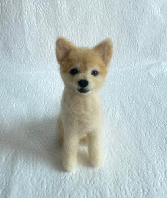 わんちゃん様オーダー わんちゃん様オーダー