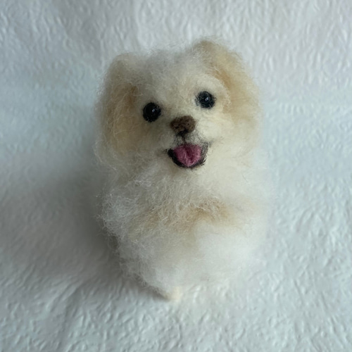 まさひろ様 オーダーメイド 羊毛フェルト 愛犬 ぬいぐるみ 犬 わん 
