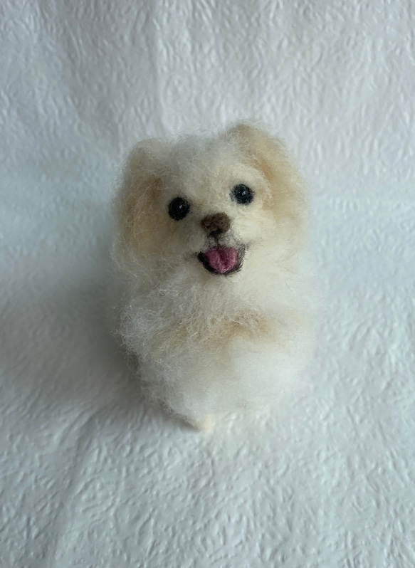 まさひろ様 オーダーメイド 羊毛フェルト 愛犬 ぬいぐるみ 犬 わん 