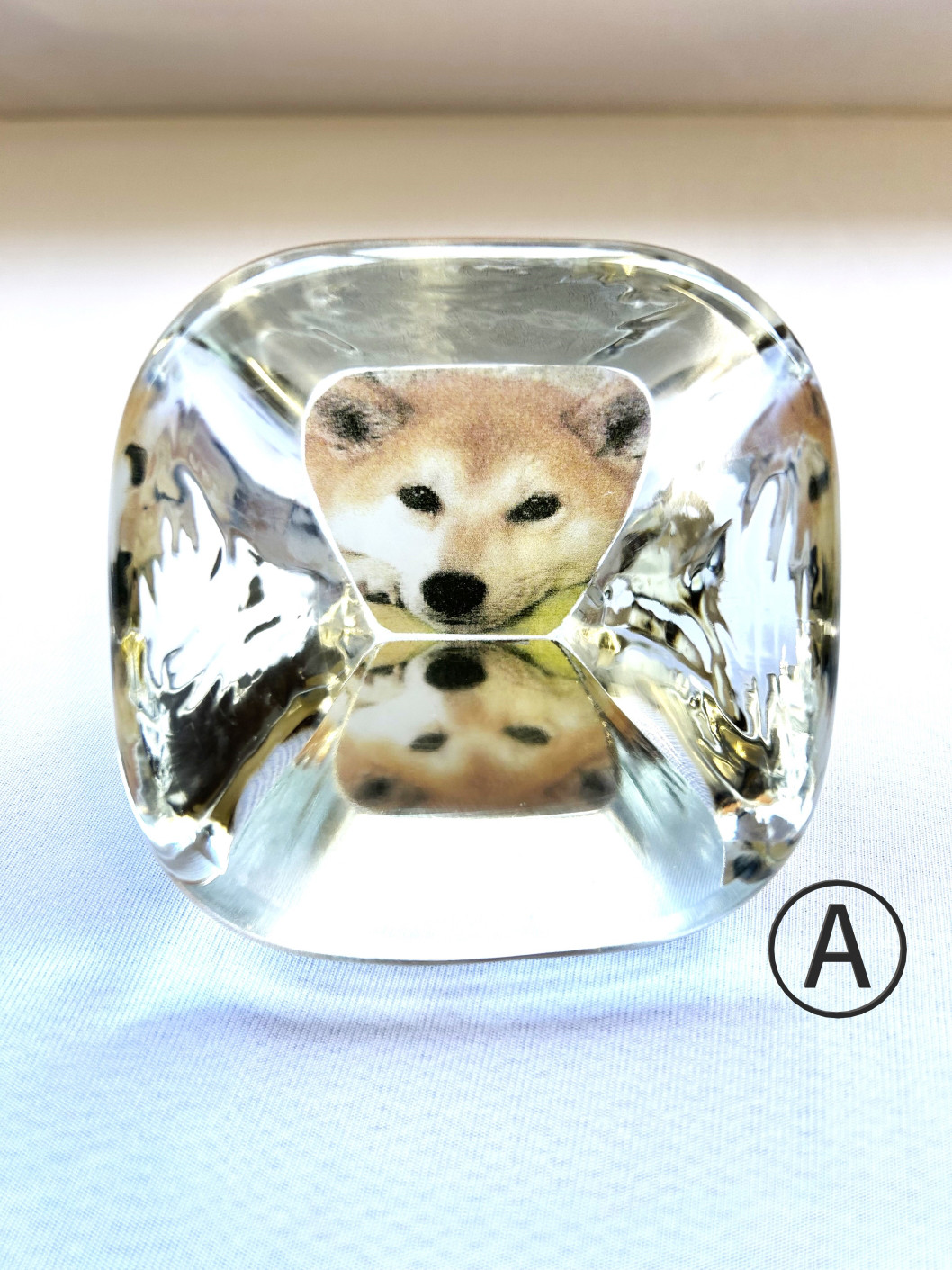 【受注製作】ガラスのオブジェ　柴犬かえでさんの笑顔(あなたの家族、大切な人も承ります)