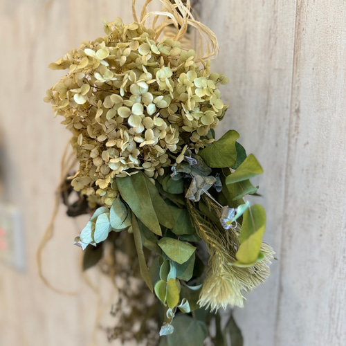 無農薬 アナベルスワッグ☆ドライフラワー 40cm スワッグ Acomade