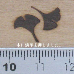 イチョウ焼印60Ｗ電気ごて仕様、電気ごてなしタイプ 2枚目の画像