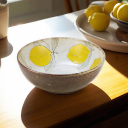 黒岩卓実 赤絵浅鉢 ひょう紋 お椀・ボウル・鉢 村井商店 通販 5497603