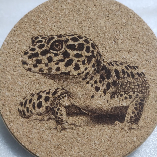 トカゲモドキコースター コースター ヒョウモントカゲモドキ その他インテリア雑貨 37kazoo