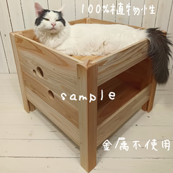 114《キャットハウス》りんご箱 猫 ネコ ペット 木箱 トイレ ハウス