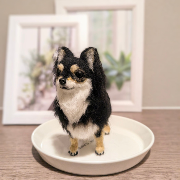 かわゆすぎ♡】ちわわ【顔幅3cm鼻先からお尻まで11.5cm】羊毛