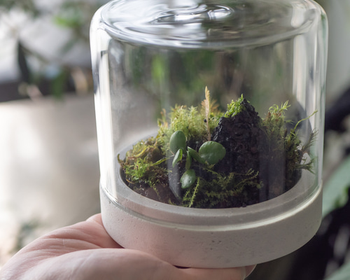 f2c04e64d1e61bf38e3cd364789786