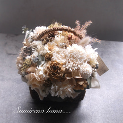 生の針葉樹たっぷり~モミの木入り~フレッシュクリスマススワッグ