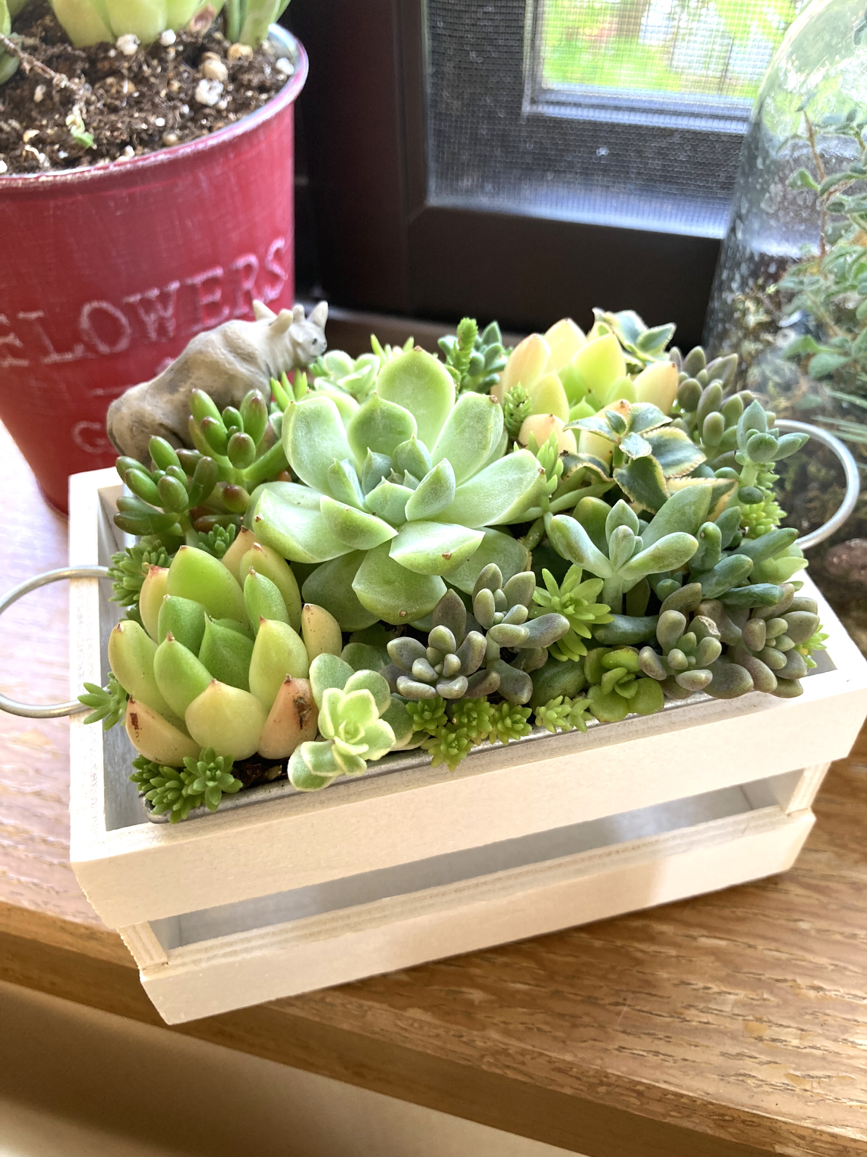 ★多肉植物　寄せ植え〜手作り　木製手押しカート　中　ピンク〜★
