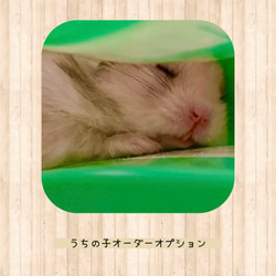 受注製作 キンクマハムスターのリングキーホルダー（ボタニカル