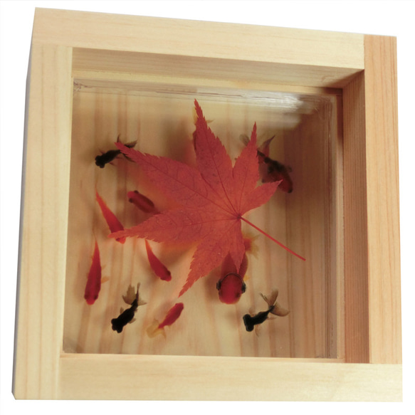 縁起物 星 もみじ 紅葉 モミジ プリザーブドフラワー 金魚 アート らんちゅう 東濃ヒノキ 新築祝い 結婚 誕生日 還暦 退職