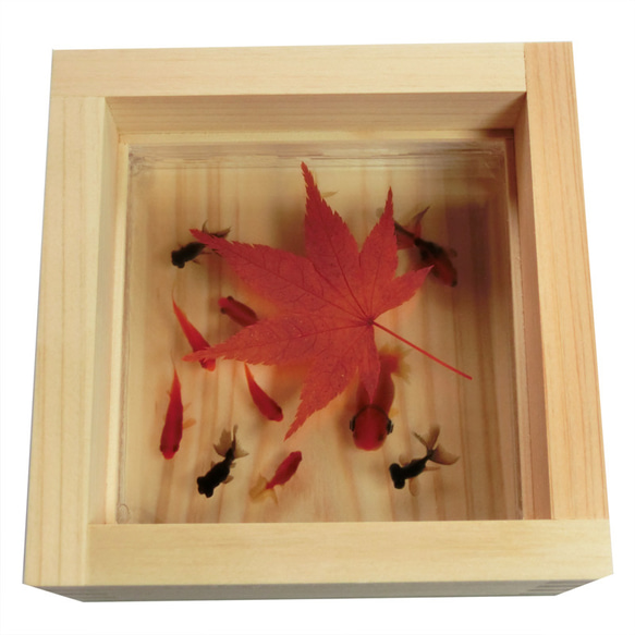 縁起物 星 もみじ 紅葉 モミジ プリザーブドフラワー 金魚 アート らんちゅう 東濃ヒノキ 新築祝い 結婚 誕生日 還暦 退職