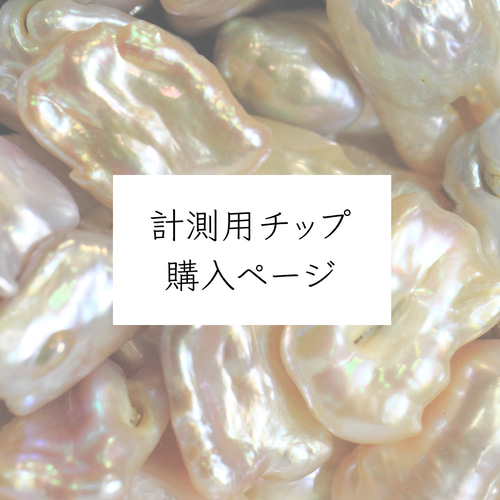 ガイド付き計測用チップ ネイルチップ（つけ爪） 萌 通販 18154451