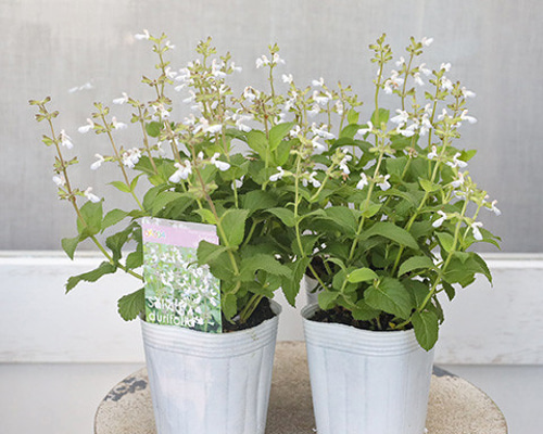 ae1068bdc0c92994fc9508f3ed7623