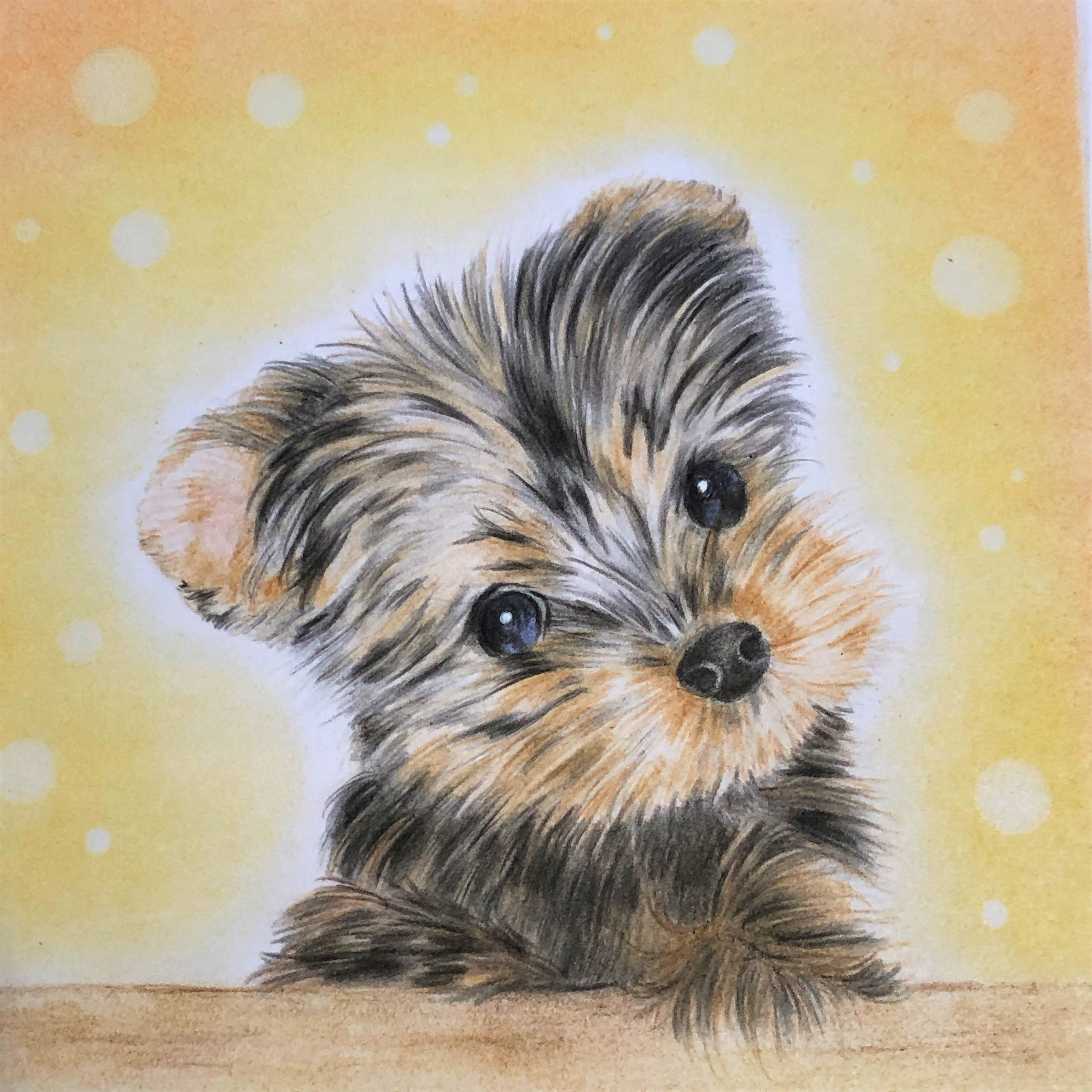 水彩画 原画 ヨークシャーテリア
