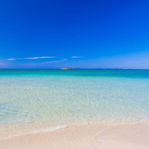 Y456 ユタが送念  何もない場所からチャンスが生まれる ヴァルジャニアのパワー シトリン ネイチャーパワー サークル