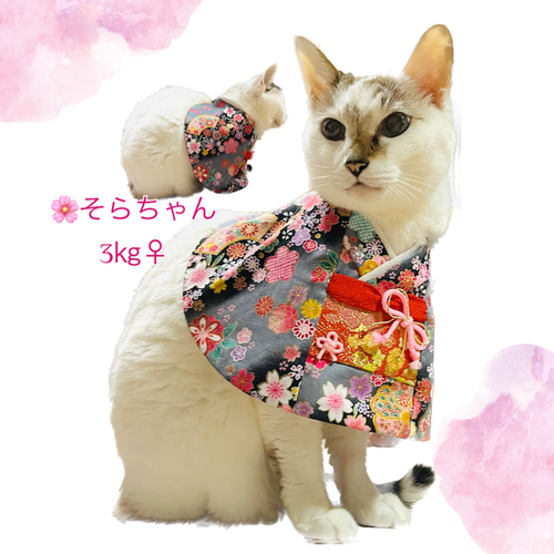お正月 着物 いっす 振袖 うさぎ ぐで猫 レジンパーツ14