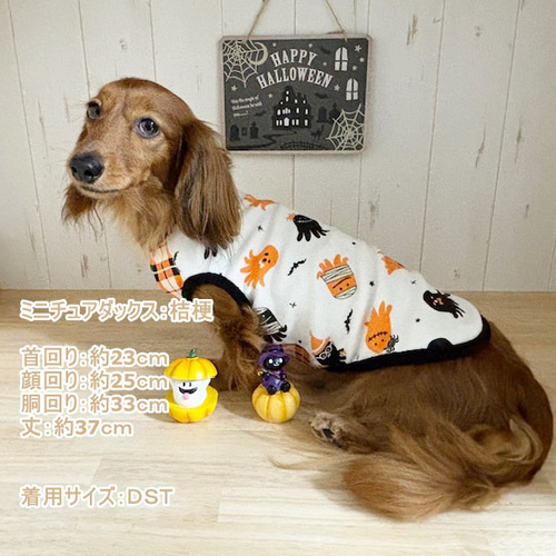 犬服 S わんこの普段着 おばけ 2024年の犬の服装のアイデア16