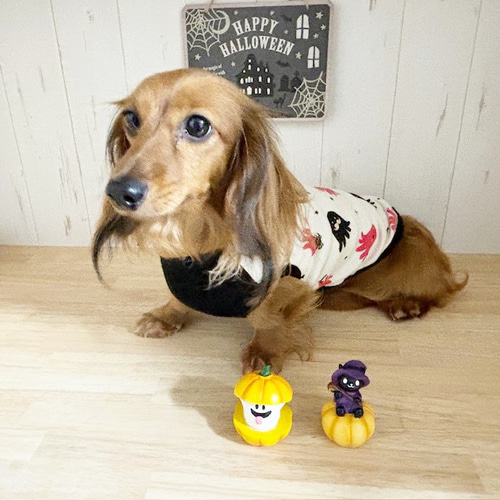 ❤️ハロウィン❤️おばけ♡たこウィンナー♡タンクトップ♡ハンドメイド犬服 ❤️ハロウィン❤️おばけ♡たこウィンナー♡タンクトップ