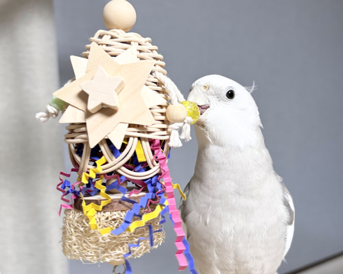鳥飼育用品 Amazon | インコ用の止まり木, ペッパーウッド鳥止まり木