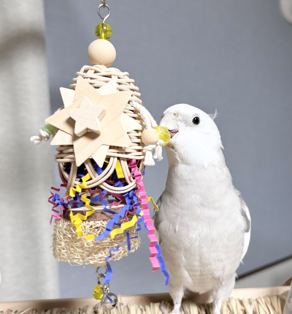 鳥のおもちゃ ☆ラタンベルスター☆ 【鳥 インコ バードトイ
