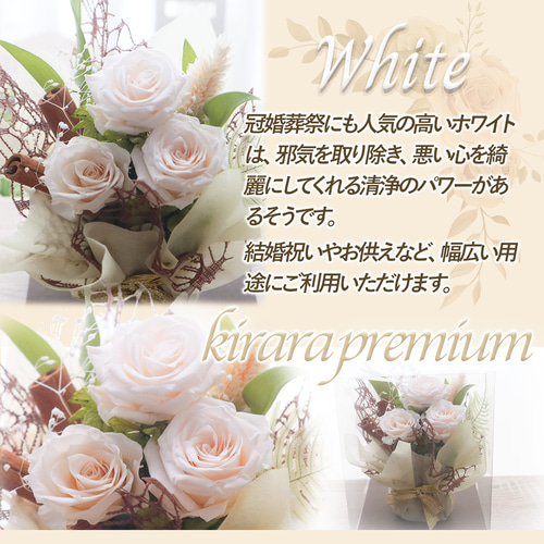 古信楽 花生け Q99-3 づらし