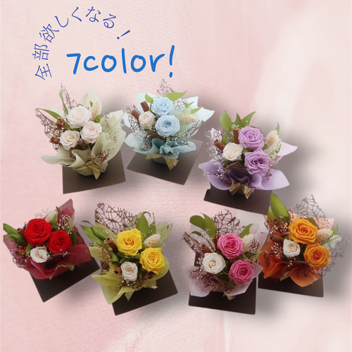 コミコミ3,300円！クリアケース入りkiraraプレミアム